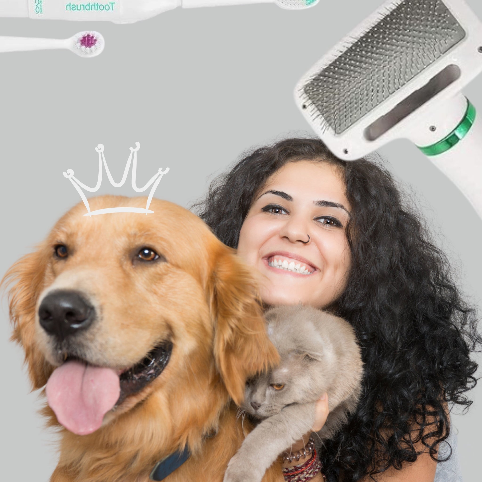 Pet Parent Picks