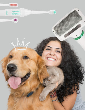 Pet Parent Picks