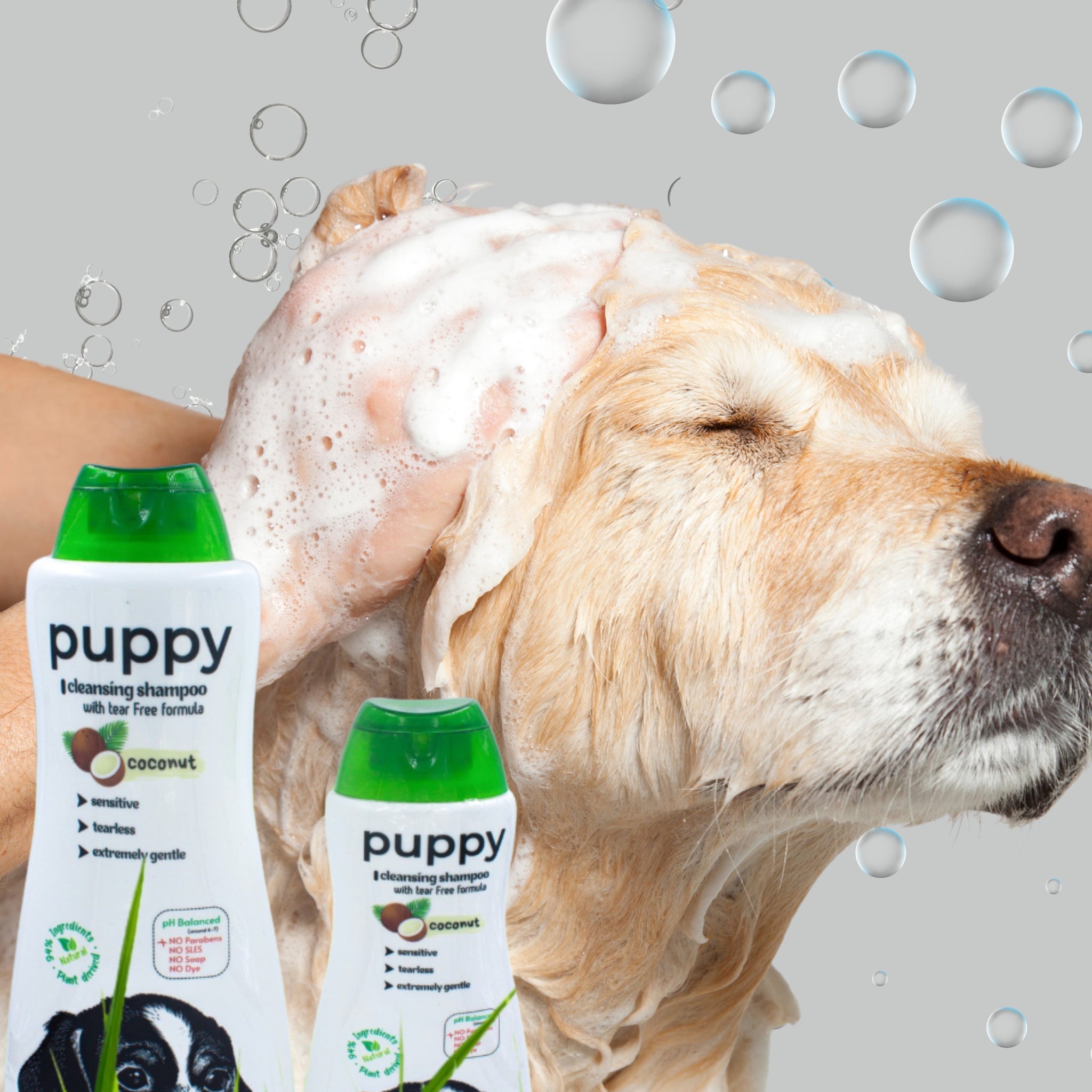 Pawmine Pet Shampoos – Gentle, Natural &amp; Groomer-Approved