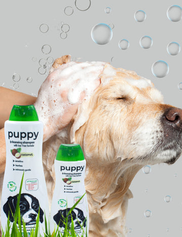 Pawmine Pet Shampoos – Gentle, Natural &amp; Groomer-Approved