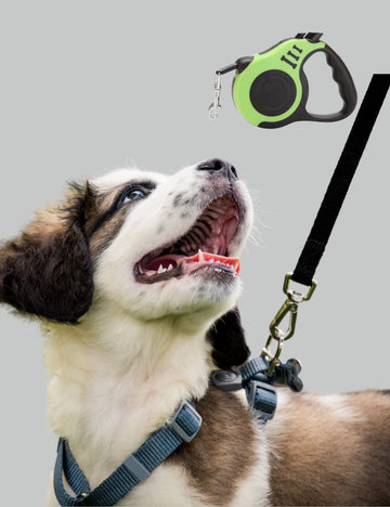 Walk & Play Essentials
