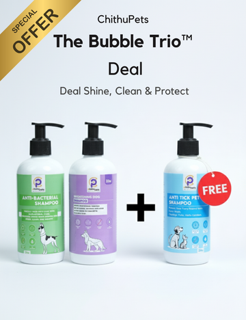 The Bubble Trio Deal – Shine, Clean & Protect