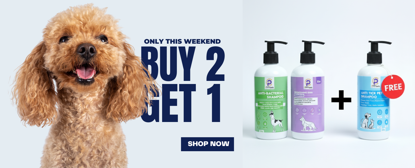 slider image 1621243260e1af0c20-0