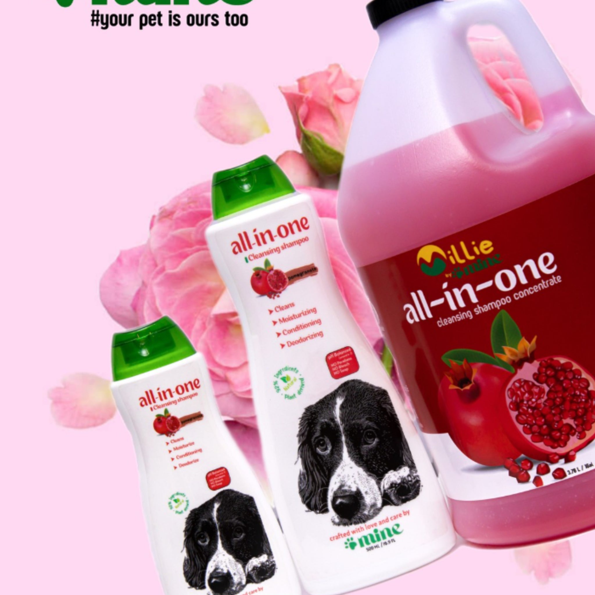 Pawmine All-in-One Cleansing Shampoo – Pomegranate | Cleanse, Moisturize &amp; Deodorize