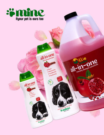 Pawmine All-in-One Cleansing Shampoo – Pomegranate | Cleanse, Moisturize &amp; Deodorize