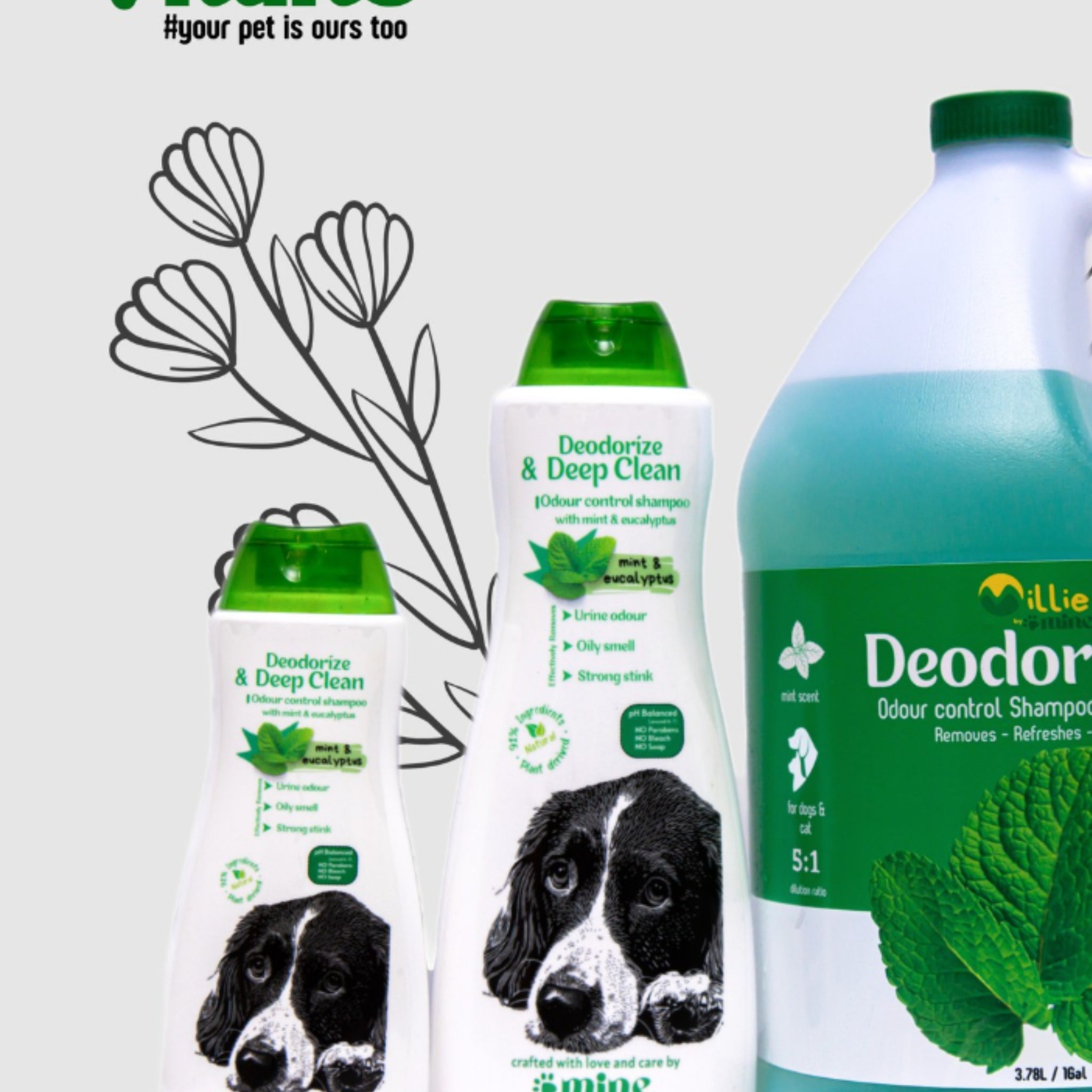 Pawmine Deodorize &amp; Deep Clean Shampoo – Mint &amp; Eucalyptus | Odour Control Formula