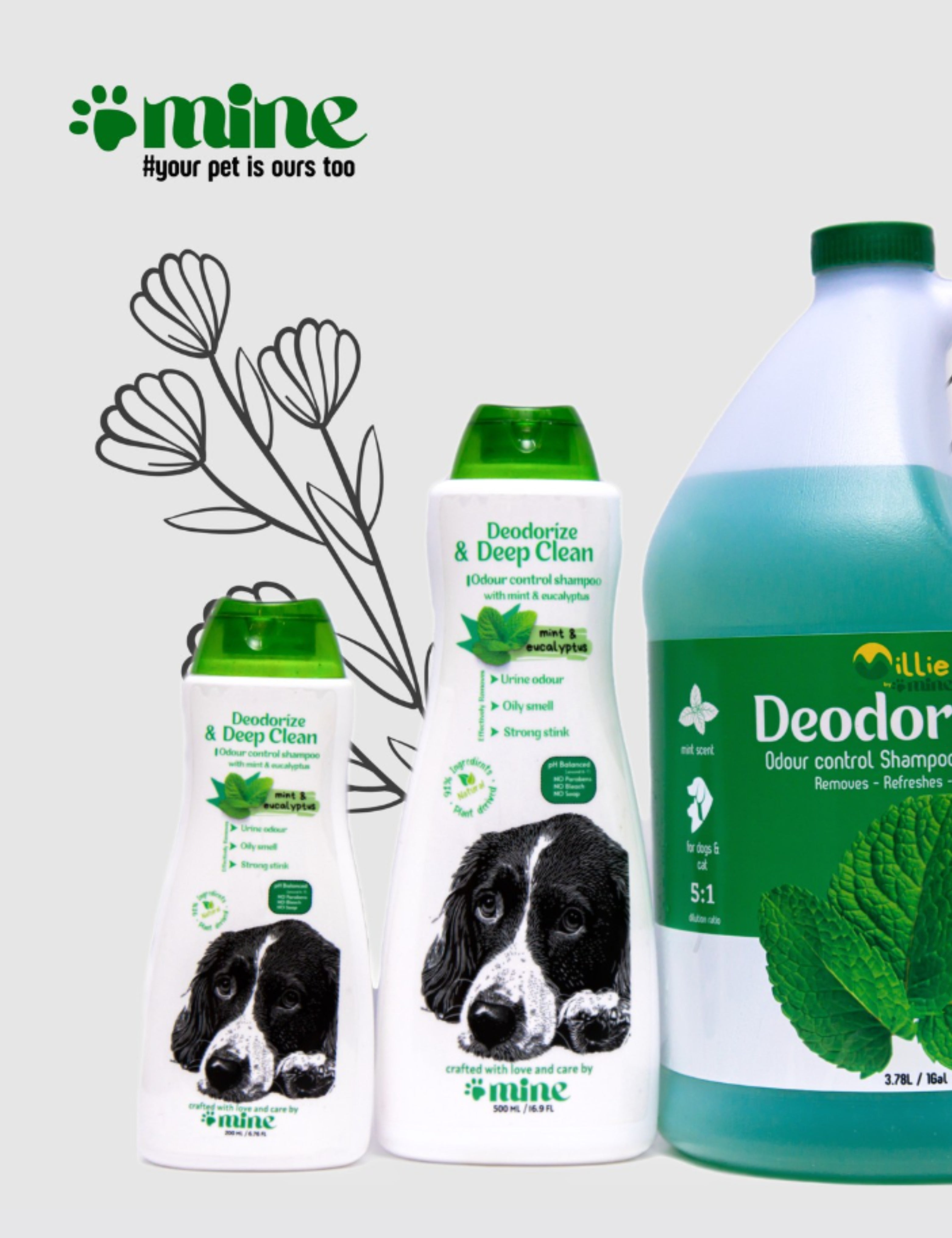 Pawmine Deodorize &amp; Deep Clean Shampoo – Mint &amp; Eucalyptus | Odour Control Formula