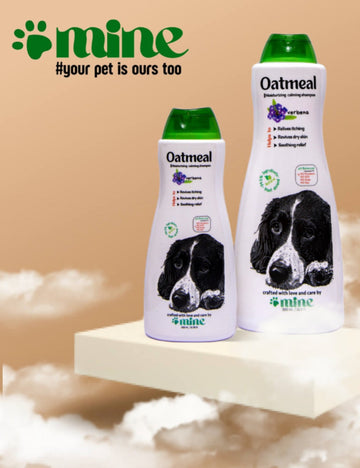 Pawmine Oatmeal Moisturizing Calming Shampoo – Verbena | Soothes Itching &amp; Dry Skin