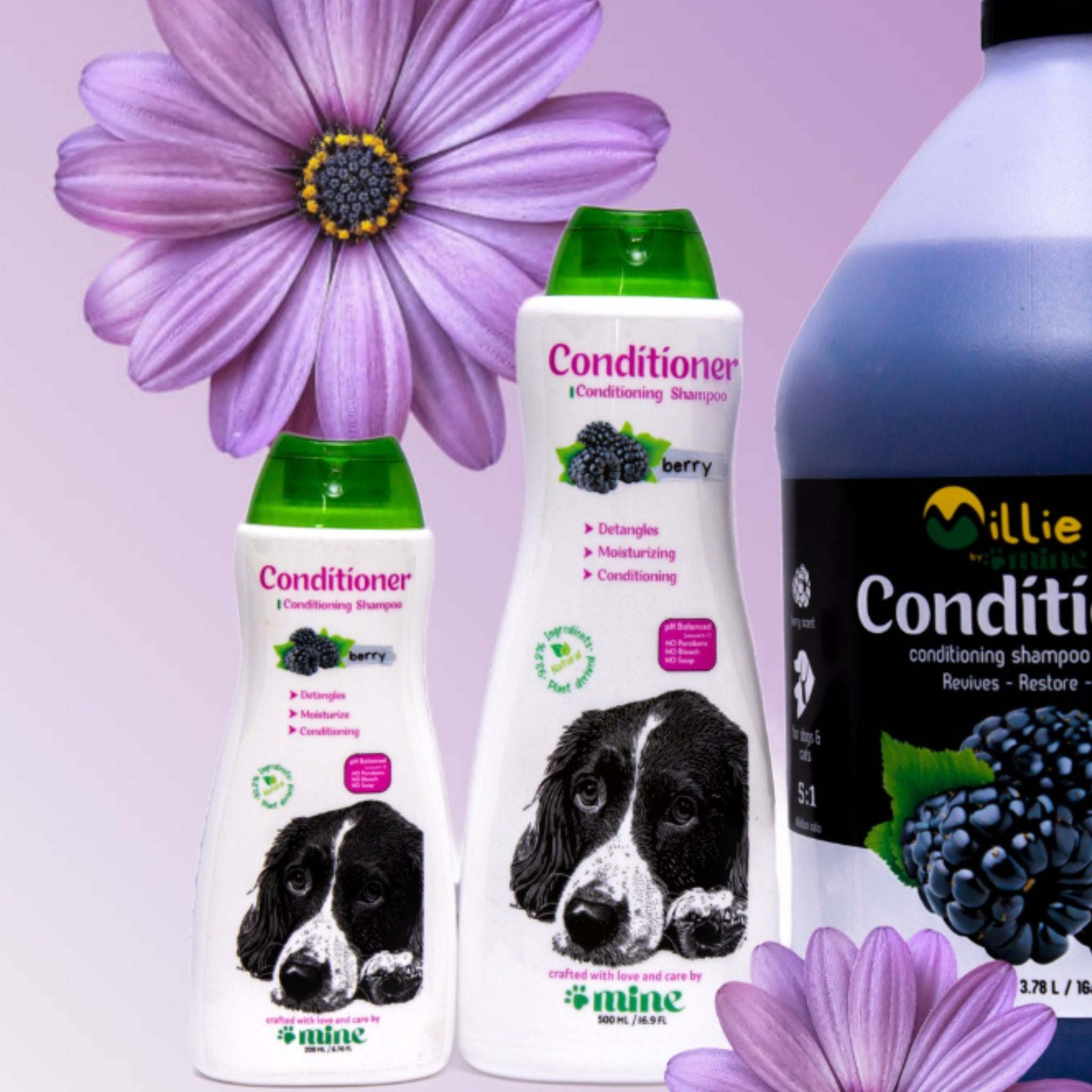 Pawmine Conditioning Shampoo – Berry | Detangle, Moisturize &amp; Restore Shine