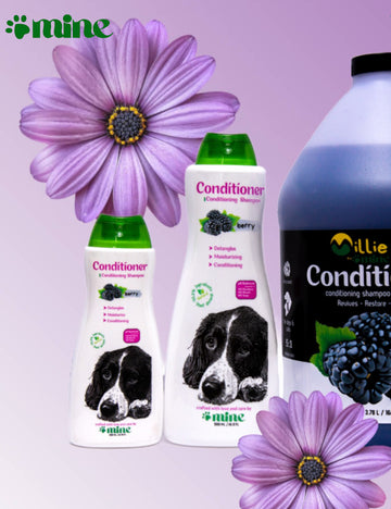Pawmine Conditioning Shampoo – Berry | Detangle, Moisturize &amp; Restore Shine